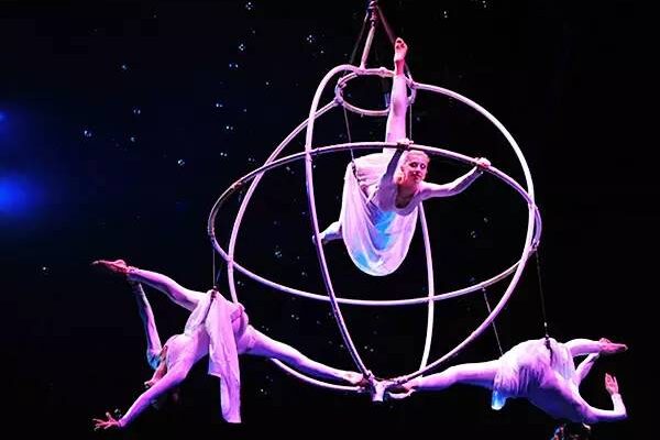 Liri Tent — WordPress