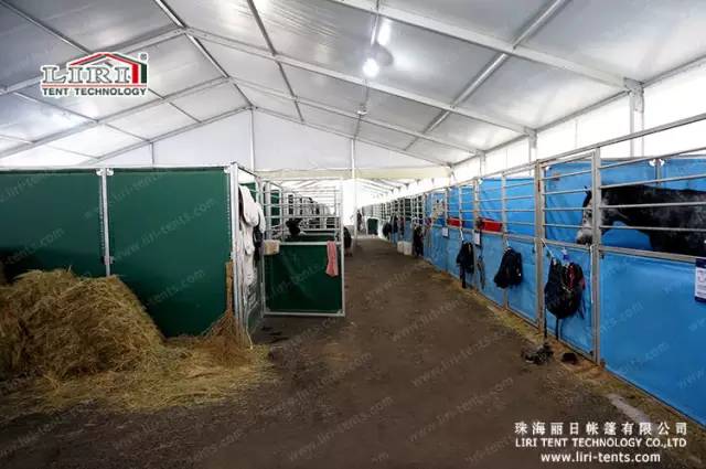 racecourse tent