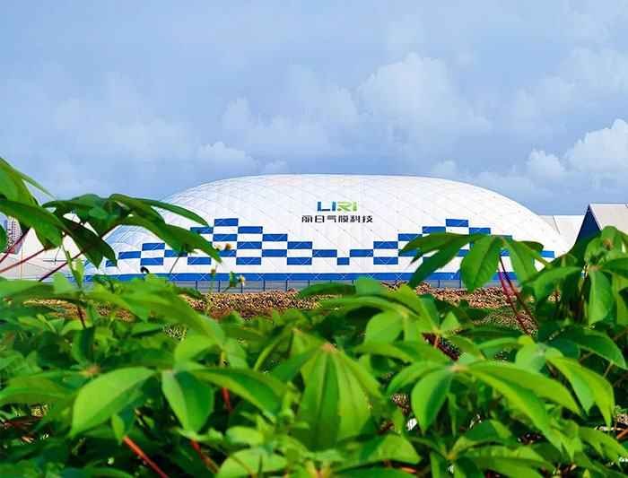 20230601 8 20230601 8