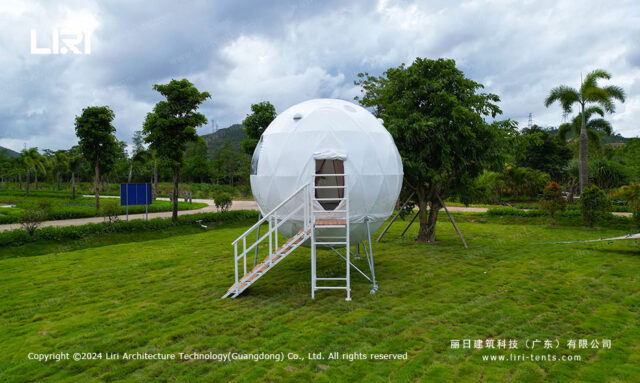 Tree House Dome (3)