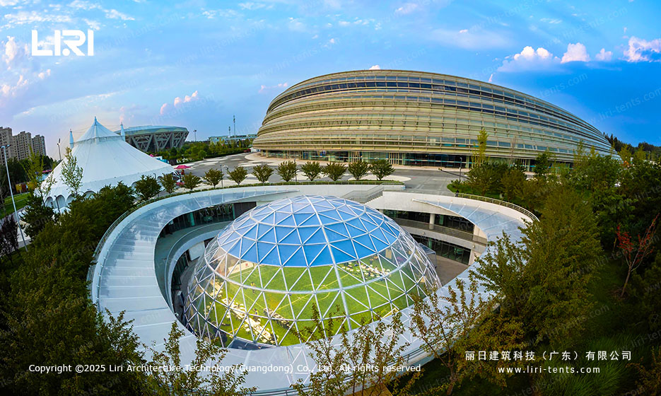 The Focus of The 2025 World Humanoid Robot Games